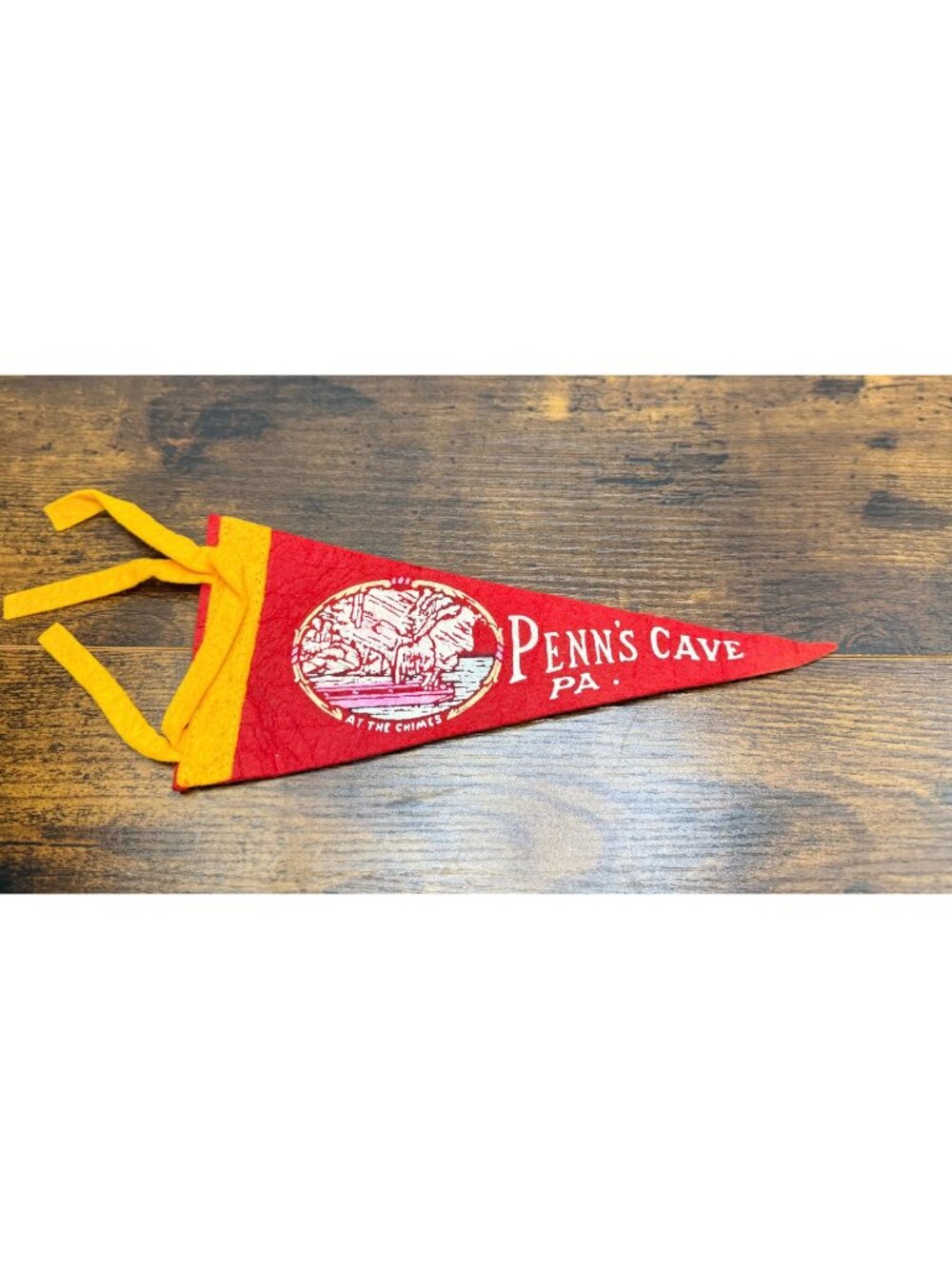 Vintage Penn's Cave PA Felt Pennant Collectible Souvenir Memorabilia 9 inches